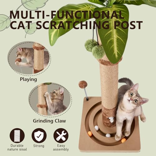 Cat Scratching Post Sturdy and Premium Scratch Posts with Hanging Ball and Ball Track Toy Cute Cat Tree 30in for Indoor Kittens (30 inches for Kittens)