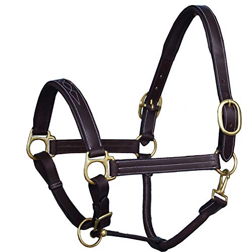 Exion Triple Fancy Stitched Padded Cushioned Leather Horse Halter (Havana/ Choco Brown / Over/ Warm Blood Size)