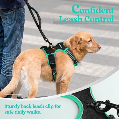 Dog Harness No Pull for Large Dogs with 2 Leash Clips (Large / Black & Turquoise)