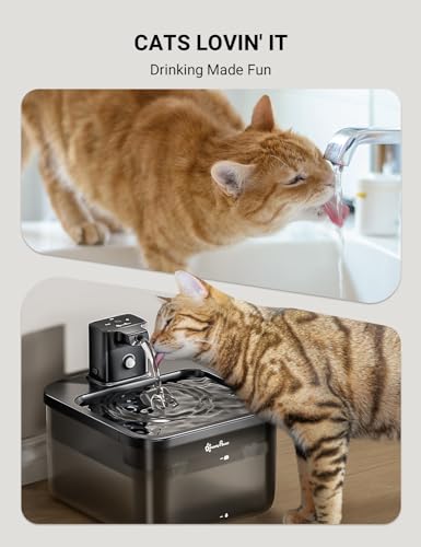 Cat Water Fountain Cordless (Black / Standard)