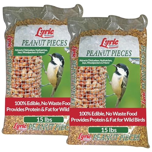 Peanut Pieces Wild Bird Seed (1 Count (Pack of 2))