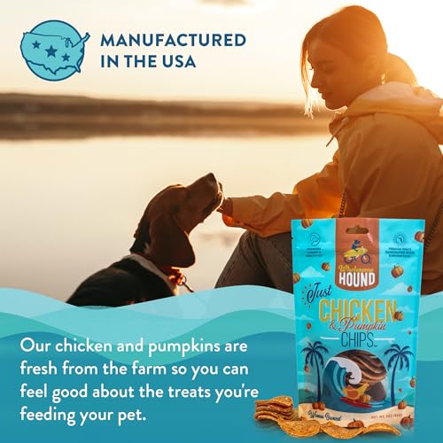 Chicken Pumpkin Chips Dog Treats (3 Ounce)