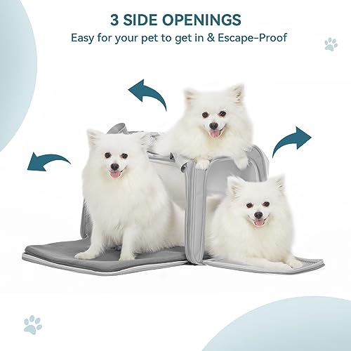 Dog Carrier Cat Carriers (20.0"L x 13.0"W x 13.0"H / New Grey)