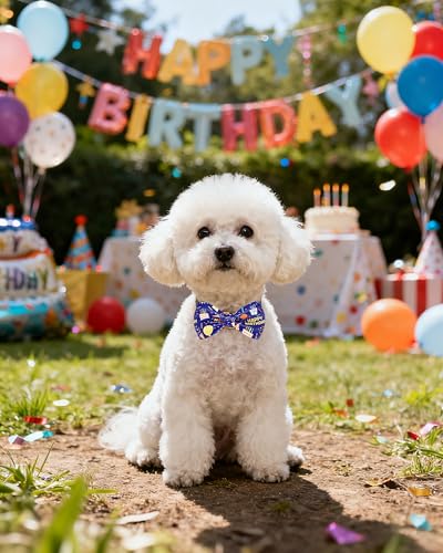 10 Pack Happy Birthday Dog Bowties for Small Dogs Sliding Collar (S/M)