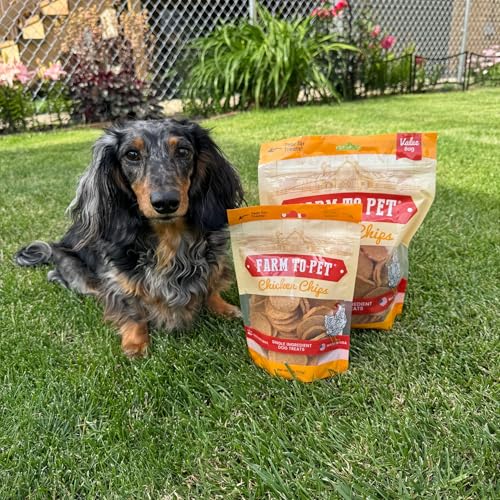 Dog Treats Chicken Chips (12 Ounce (Pack of 1))