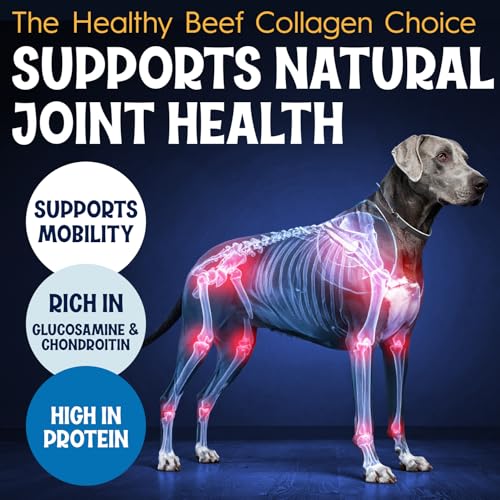 Collagen Bully Stick for Dogs (1 Count (Pack of 5))