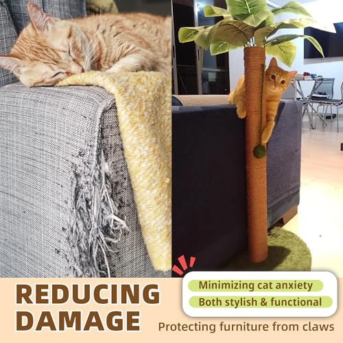 Cat Scratching Post 33 Inch Tall Cat Scratcher for Indoor Cats Adults (33 in Green Post)