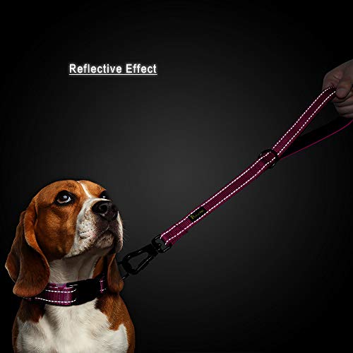 Short Training Dog Leash with Padded Handle for Medium Large Big Dogs (Pink / 18 Inch (Pack of 1))