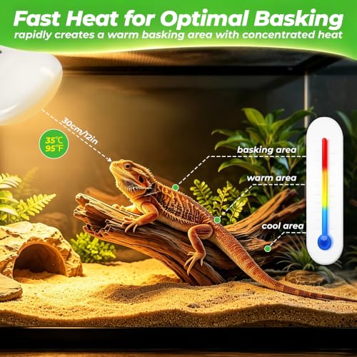 Reptile Heat Lamp Bulbs 75W (75)