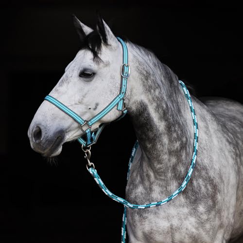 Adepto Adjustable Horse Halter (Canal Blue / Cob)