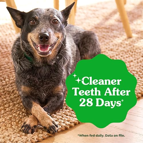 Teenie Original Natural Dental Dog Treats (260 Count (Pack of 1))
