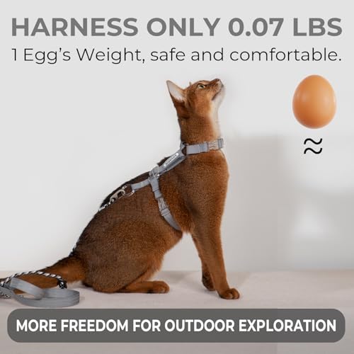 Cat Harness and Leash Set (Grey)