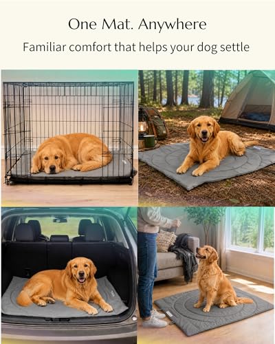 Dog Travel Mat (Grey)