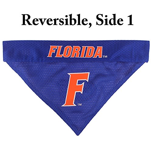 Collegiate Pet Accessories (Small/Medium / Florida Gators)