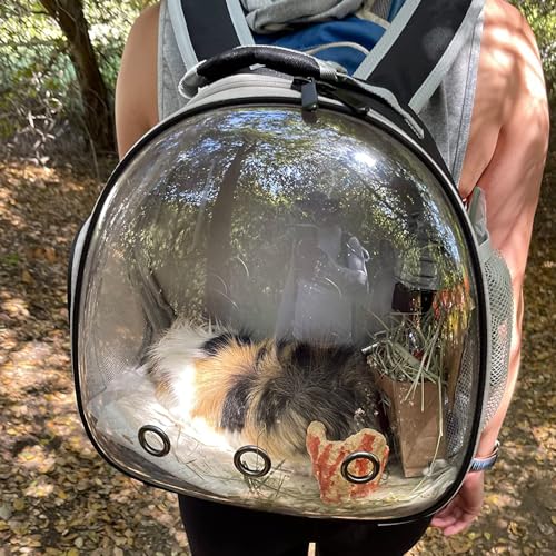 Guinea Pig Carrier Backpack (Pink)