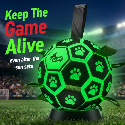 Glow in The Dark Dog Toys (Light Up Ball / 8 Inch)