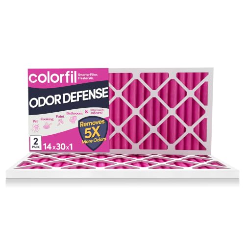 14x30x1 Air Filter (2-Pack / 14" x 30" x 1")