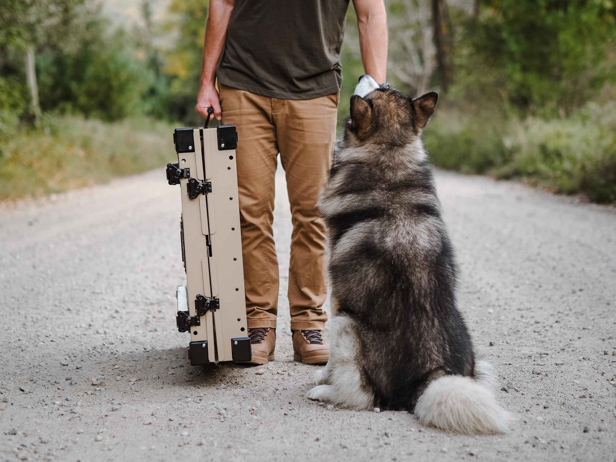 Aluminum Collapsible Dog Crate (Tan / 41.6"L x 29.7"W x 33.9"H)