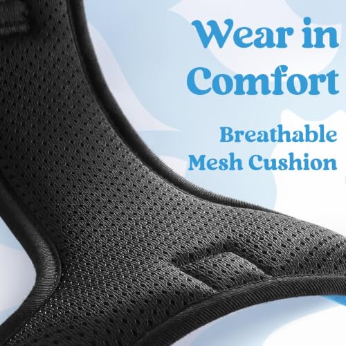 Dog Harness Medium Sized (Medium / Sky Blue)