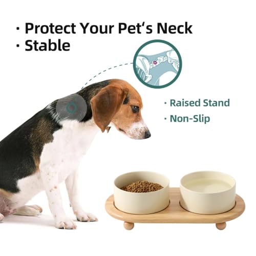 Raised Cat Bowl