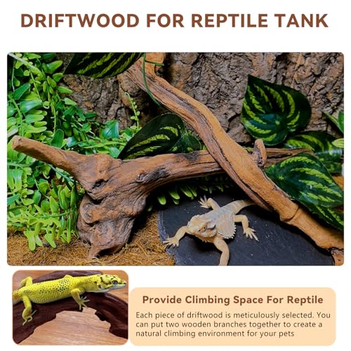 2PCS Snake Climbing Branches (2Pcs 10-12in Reptile Climbing Branches)