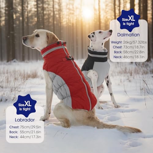 Dog Coat for Medium Dogs (Black / M(chest:21in))
