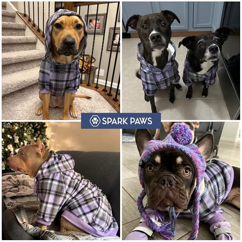 Dog Hoodie Buttery (Purple Plaid / XX-Large)