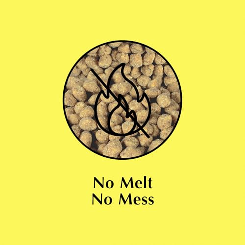 Berry Flavor Suet Nuggets (1.69 Pound (Pack of 1))