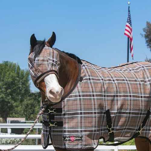 Horse Fly MASK with Web Trim (M (Small Horse))