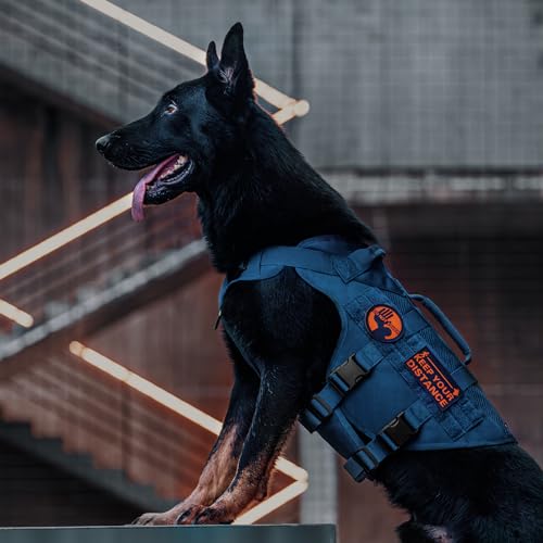 Tactical Dog Harness for Small Medium Large Dogs (Blue / L)