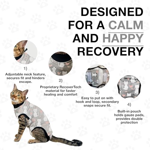 Cat Recovery Suit Female and Male (Grey / XSmall)