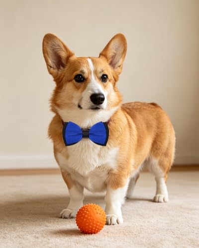 5 Pack Mixed Color Dog Bowties for Small Dogs Slide on Collar (S/M)