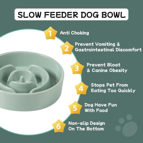 Ceramic Slow Feeder Dog Bowls (Light Green)