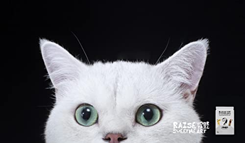 Tofu Cat Litter 8 Packs (Eight Packs)