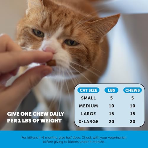 Vet Backed Skin & Coat Cat Vitamins (90-Day Supply)