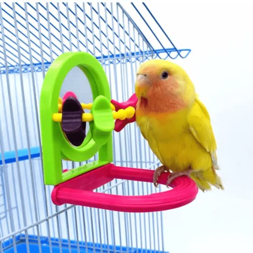 Bird Mirror for Cage