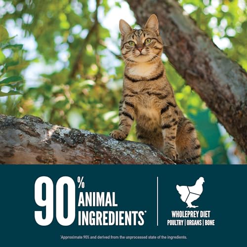 Guardian 8 Grain Free WHOLEPREY Dry Cat Food 10lb Bag (10 Pound (Pack of 1))