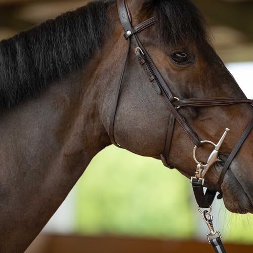 Lunging Strap for Horse Lunge Line (Black / Horse)
