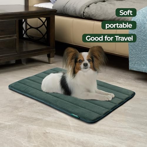 Dog Crate Pad (30.0"L x 19.0"W x 0.8"Th / Green, 1 Pack)