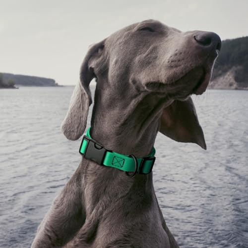 Biothane Waterproof Dog Collar with Quick Release Buckle Strong Coated Nylon Webbing with Odor (1"W by 15-25"L / Teal)