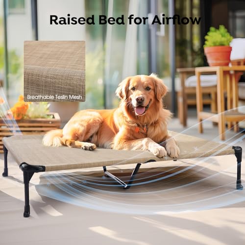 Outdoor Elevated Dog Bed with Waterproof Bolster Cushion (Beige Coffee / 49.0"L x 33.0"W x 9.0"Th)
