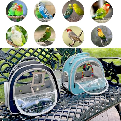 Portable Parrot Travel Cage Carrier with Small Swing Toy&Cage Colorful Toys Set Small Bird Parakeet Bag with Standing Perch Bird Carry Transport Bag (Green / 12.0"L x 7.0"W x 12.0"H)