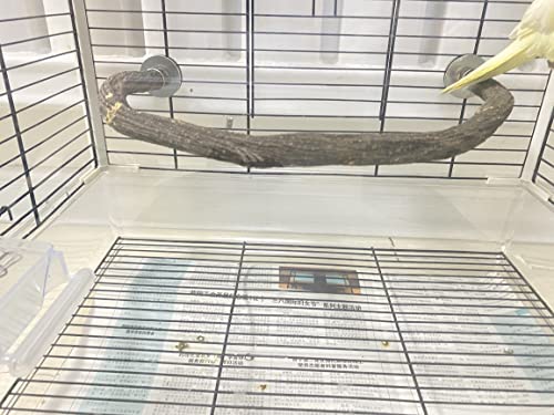 Parrot Perch Stand Bird Cage Stand Pole Natural Wild Grape Stick Grinding Paw Cage Accessories for Parakeet Cockatiels Budgies Conure Lovebirds Platform