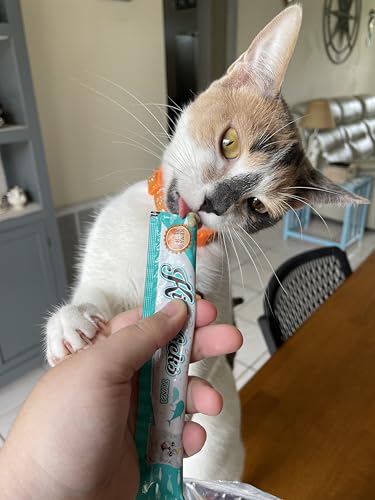 Kitty Licks Lickable Cat Treats Variety Pack