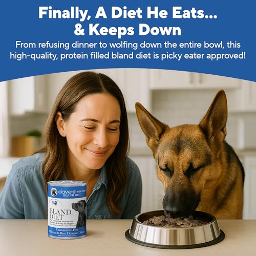 Bland Diet Dog Food (13.2 Ounce (Pack of 12))