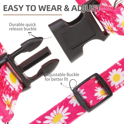 No Pull Dog Harness Medium Sized Step (Fuchsia(Daisy) / Medium)