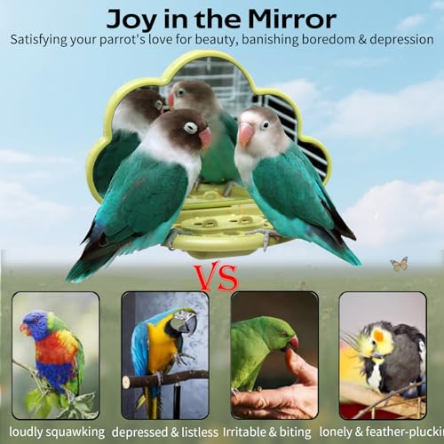 Bird Mirror Toy with Perch & Slow Feeder (Green)