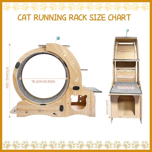 Cat Wheel 6 in