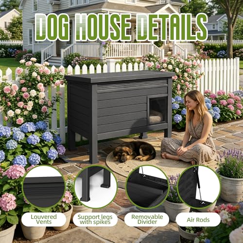 Indoor & Outdoor Resin Dog House with Raised Floor (Black-H / 31.02*19.09*26.73)