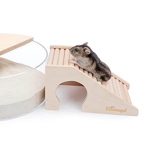 Hamster House w